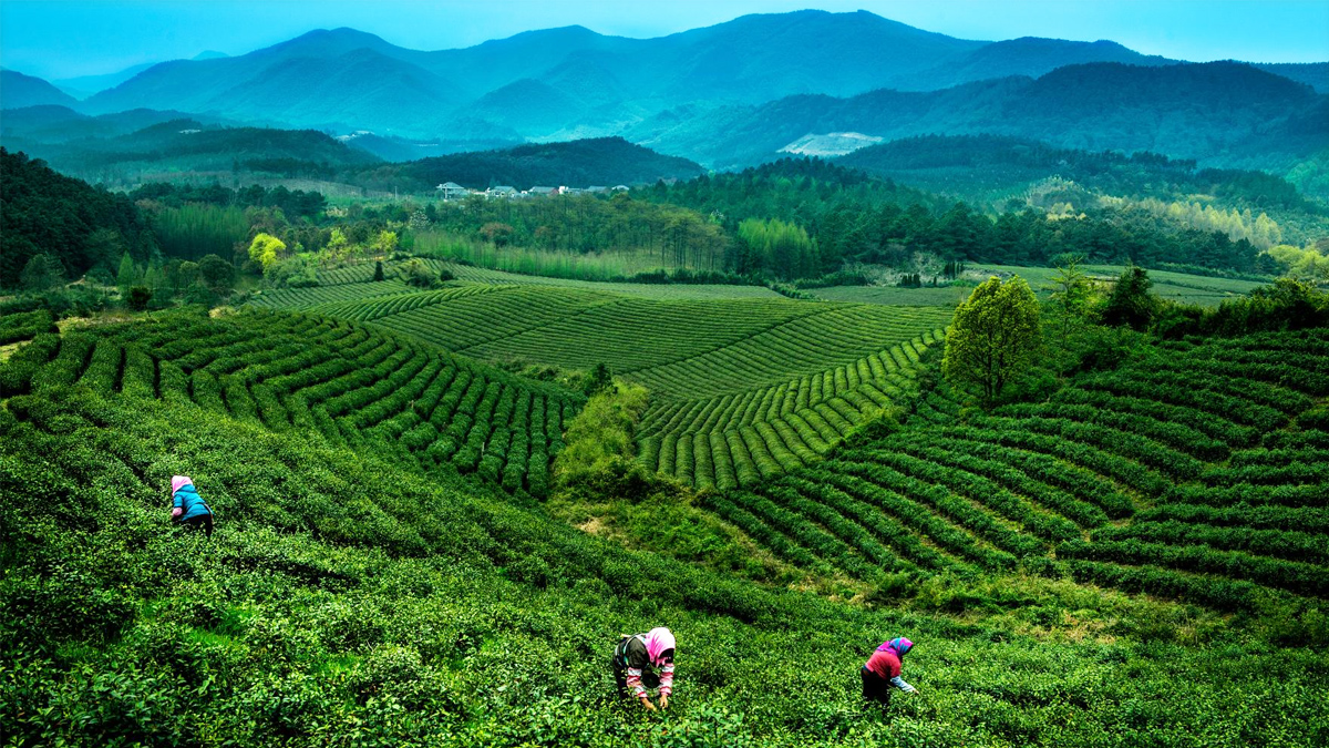 緩解相對貧困 助力共同富裕