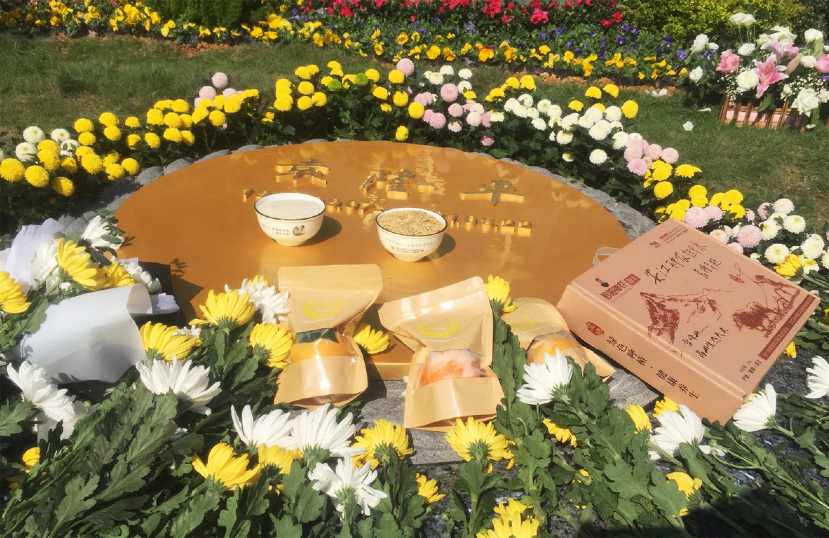 Ԭ¡ƽ28λԺʿ2021x҂ȥ